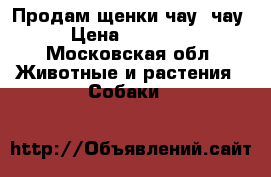 Продам щенки чау- чау › Цена ­ 25 000 - Московская обл. Животные и растения » Собаки   